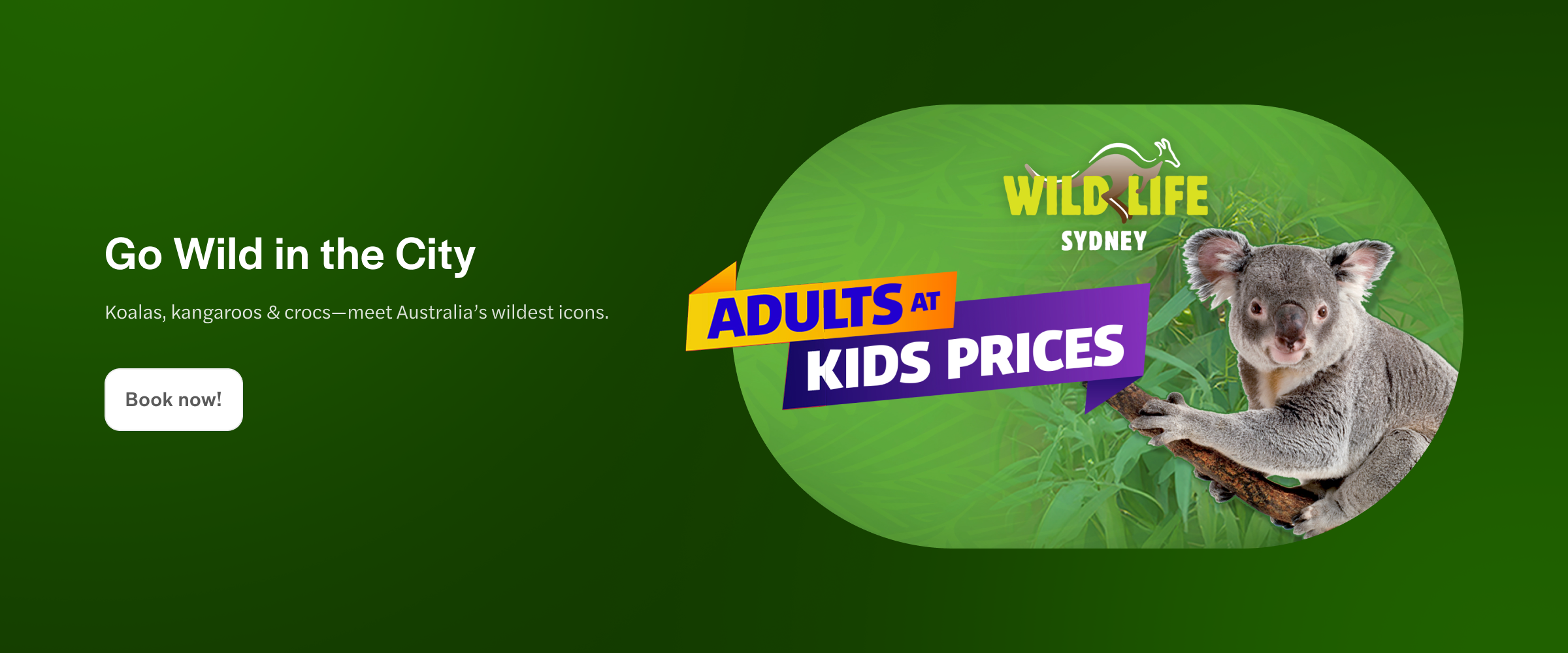 Koala at Wild Life Sydney Zoo with promo for adults at kids prices.